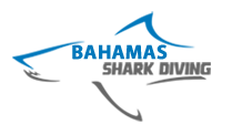 An image of the Bahamas Shark Diving Logo